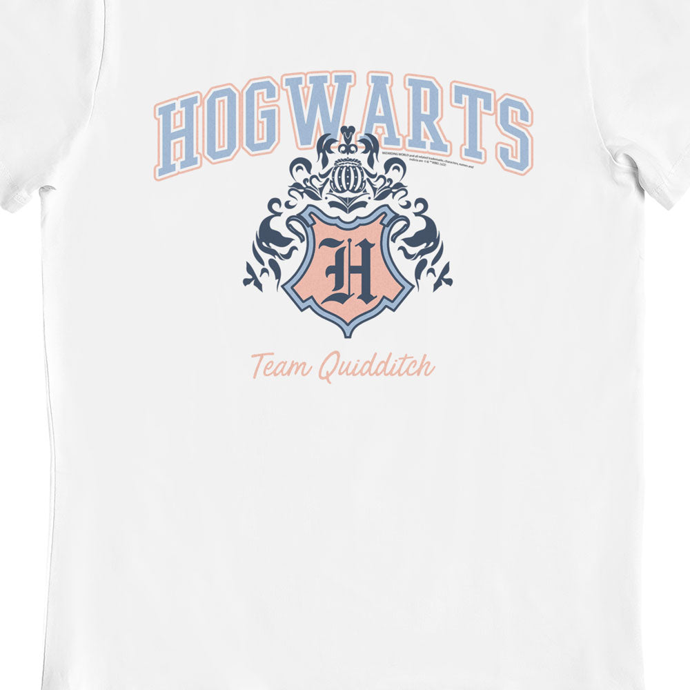 Harry Potter Hogwarts Team Quidditch Adults T-Shirt