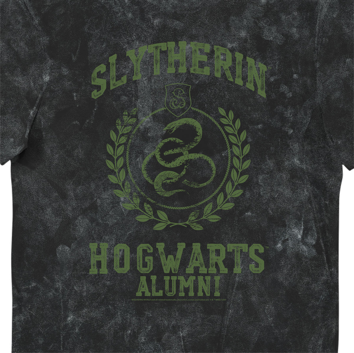 Harry Potter Slytherin Hogwarts Alumni Vintage Style Adults T-Shirt