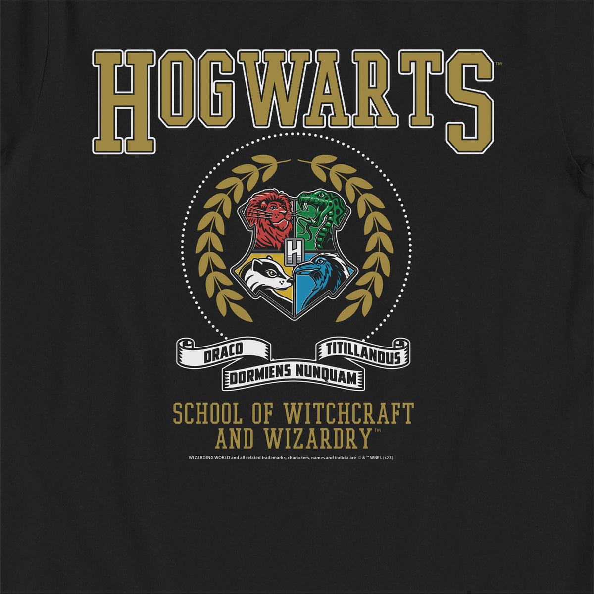 Harry Potter Hogwarts School of Witchcraft & Wizardy Black Kids T-Shirt