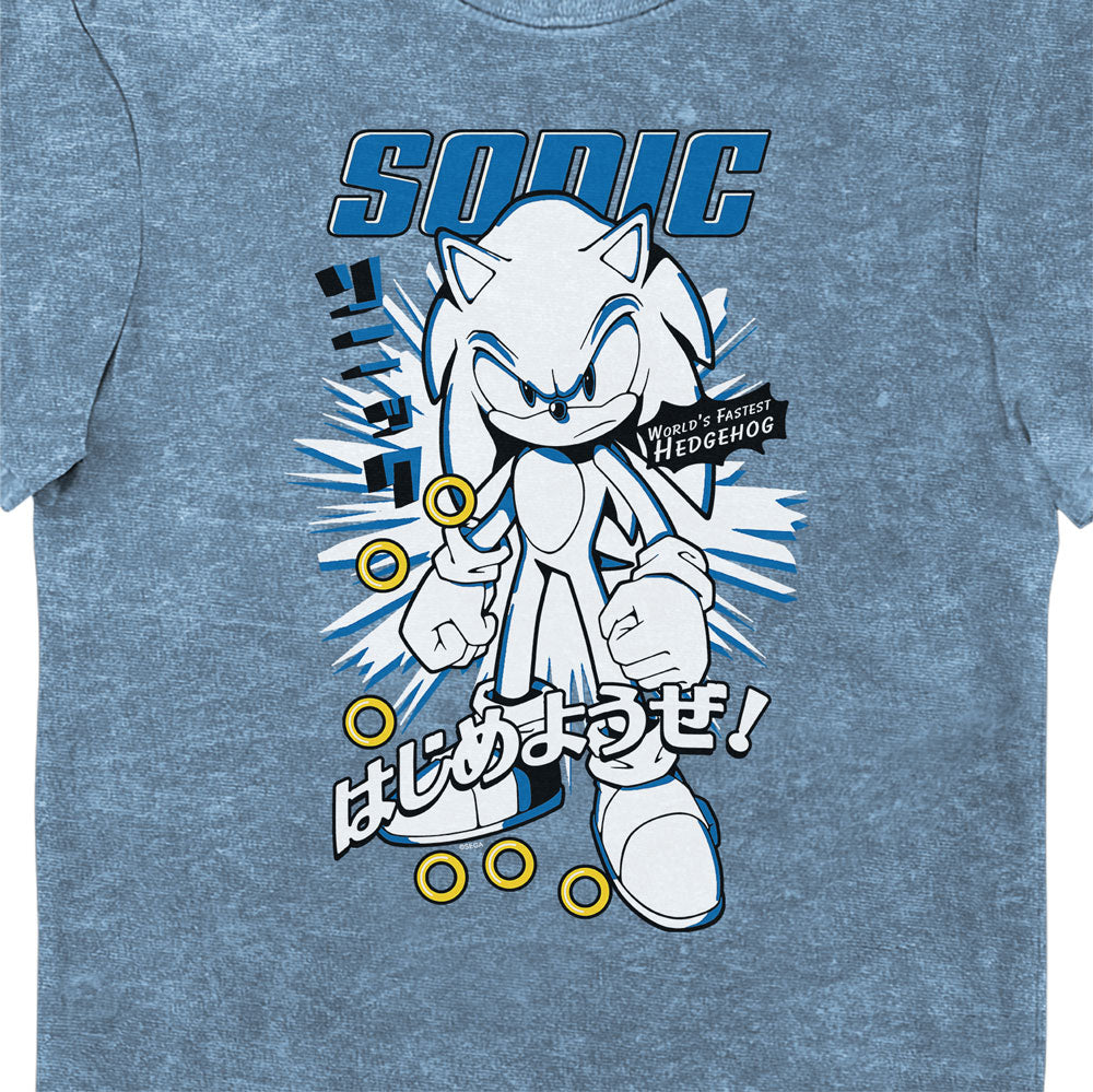 Sonic Worlds Fastest Hedgehog Blue Vintage Style Adults T-Shirt