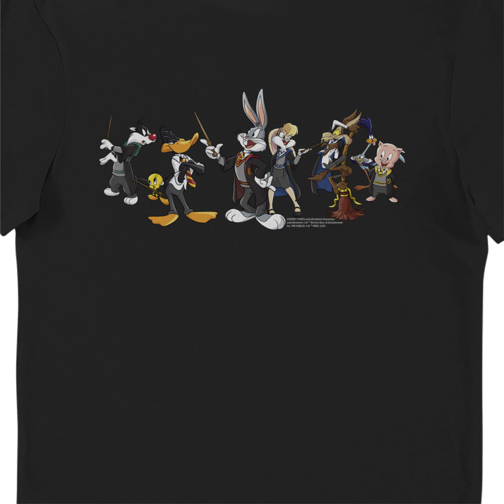 Looney Tunes & Harry Potter Characters Adults Black T-Shirt