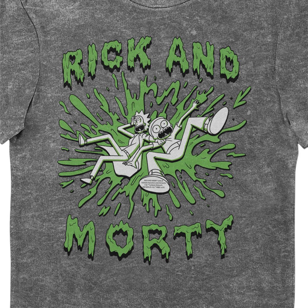 Rick and Morty Slime Grey Eco Wash Adults T-Shirt