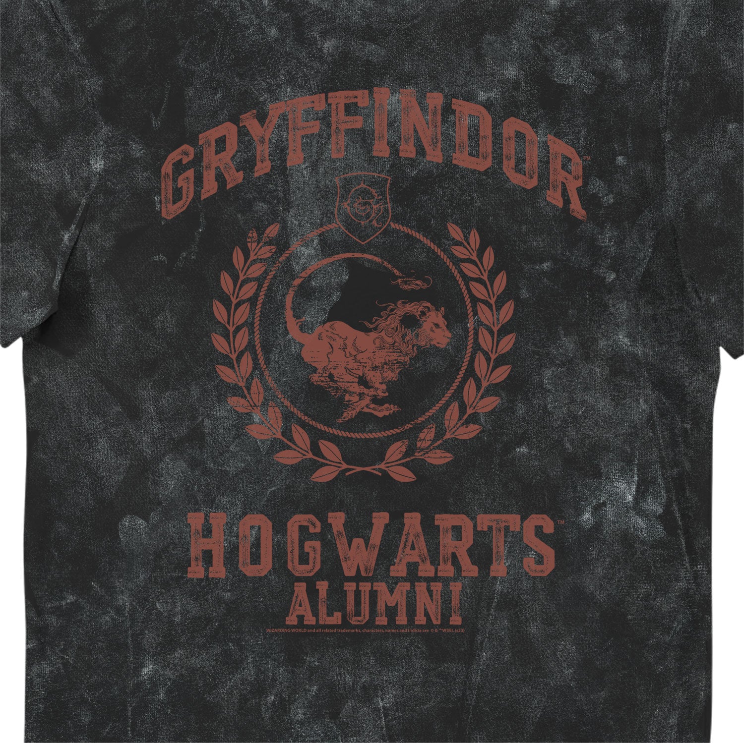 Harry Potter Gryffindor Hogwarts Alumni Vintage Style Adults T-Shirt