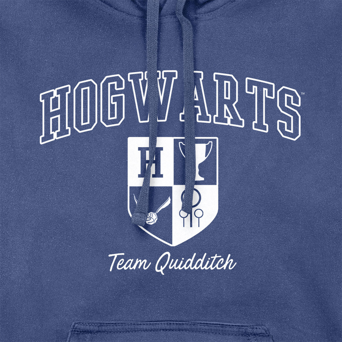 Harry Potter Hogwarts Team Quidditch Vintage Adults Hoodie