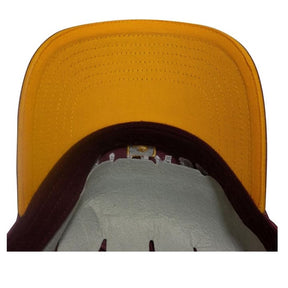 Bioworld Harry Potter Yellow Hufflepuff Hogwarts Alumni Adjustable Baseball Cap - Official Merchandise - Great Gift for Teens or Adults